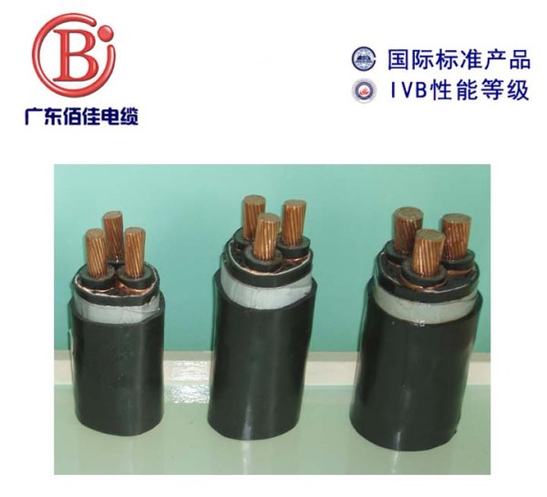 男人的坤吧操你的小骚逼